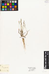 SW_BNB_s3010-04135_IMG-0000000001