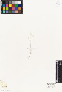 SW_BNB_s3010-04136_IMG-0000000001