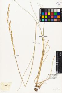 SW_BNB_s3010-04137_IMG-0000000001
