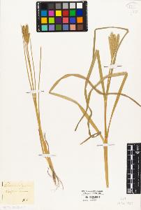 SW_BNB_s3010-04145_IMG-0000000001