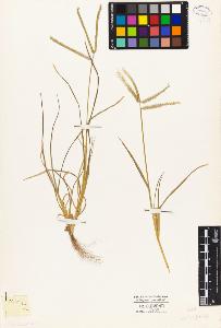 SW_BNB_s3010-04147_IMG-0000000001