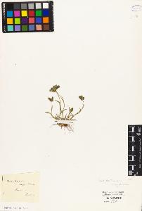 SW_BNB_s3010-04148_IMG-0000000001