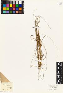 SW_BNB_s3010-04150_IMG-0000000001