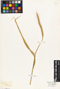 SW_BNB_s3010-04152_IMG-0000000001