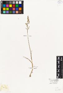 SW_BNB_s3010-04153_IMG-0000000001