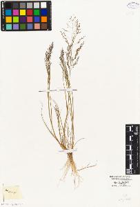 SW_BNB_s3010-04155_IMG-0000000001