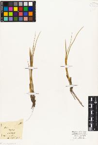 SW_BNB_s3010-04159_IMG-0000000001