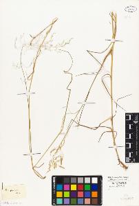 SW_BNB_s3010-04161_IMG-0000000001