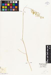 SW_BNB_s3010-04162_IMG-0000000001