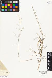 SW_BNB_s3010-04163_IMG-0000000001