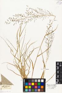 SW_BNB_s3010-04164_IMG-0000000001