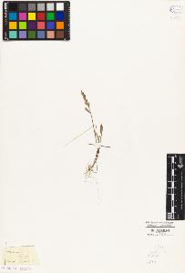 SW_BNB_s3010-04166_IMG-0000000001