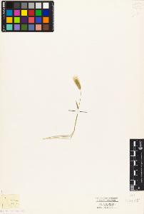 SW_BNB_s3010-04167_IMG-0000000001