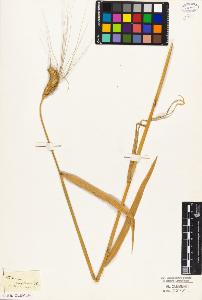SW_BNB_s3010-04168_IMG-0000000001