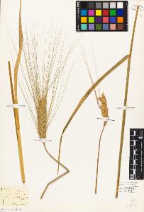 SW_BNB_s3010-04171_IMG-0000000001
