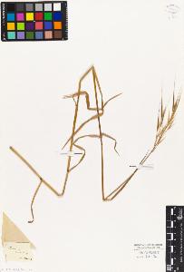SW_BNB_s3010-04173_IMG-0000000001
