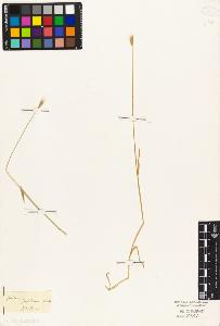 SW_BNB_s3010-04174_IMG-0000000001