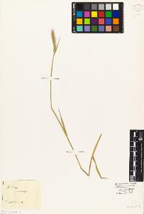 SW_BNB_s3010-04177_IMG-0000000001