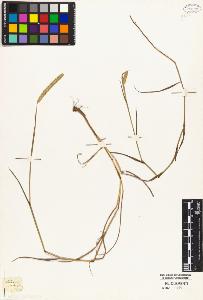 SW_BNB_s3010-04179_IMG-0000000001