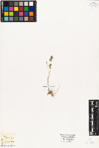 SW_BNB_s3010-04180_IMG-0000000001