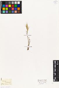 SW_BNB_s3010-04183_IMG-0000000001
