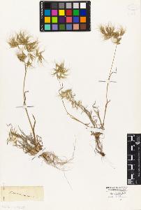 SW_BNB_s3010-04188_IMG-0000000001