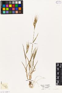 SW_BNB_s3010-04189_IMG-0000000001