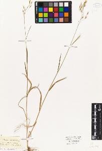 SW_BNB_s3010-04191_IMG-0000000001