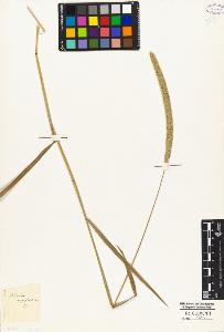 SW_BNB_s3010-04193_IMG-0000000001