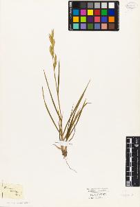 SW_BNB_s3010-04194_IMG-0000000001