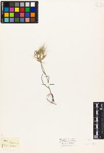 SW_BNB_s3010-04196_IMG-0000000001