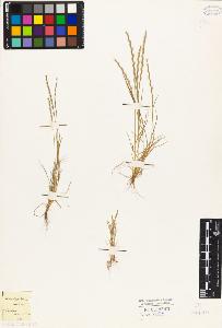 SW_BNB_s3010-04198_IMG-0000000001