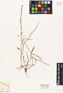 SW_BNB_s3010-04199_IMG-0000000001