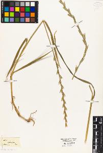 SW_BNB_s3010-04200_IMG-0000000001