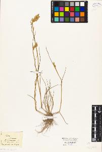 SW_BNB_s3010-04201_IMG-0000000001
