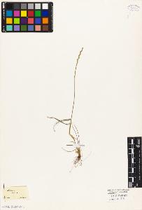 SW_BNB_s3010-04202_IMG-0000000001