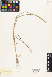 SW_BNB_s3010-04203_IMG-0000000001