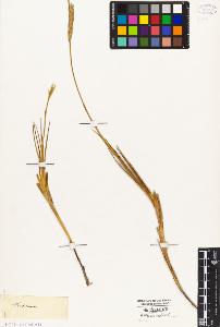 SW_BNB_s3010-04204_IMG-0000000001