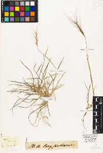 SW_BNB_s3010-04206_IMG-0000000001