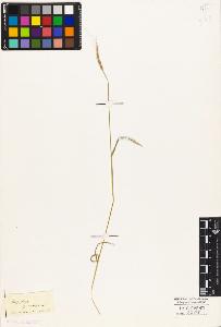 SW_BNB_s3010-04207_IMG-0000000001
