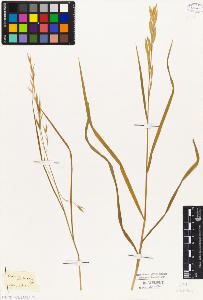 SW_BNB_s3010-04208_IMG-0000000001