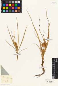 SW_BNB_s3010-04215_IMG-0000000001
