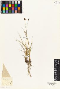 SW_BNB_s3010-04216_IMG-0000000001