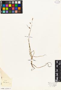 SW_BNB_s3010-04217_IMG-0000000001