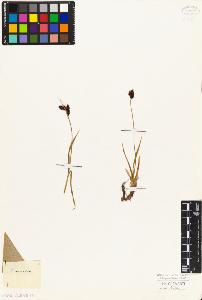 SW_BNB_s3010-04221_IMG-0000000001