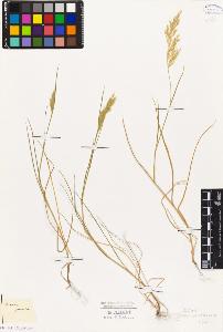 SW_BNB_s3010-04222_IMG-0000000001