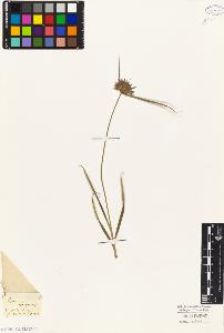 SW_BNB_s3010-04223_IMG-0000000001
