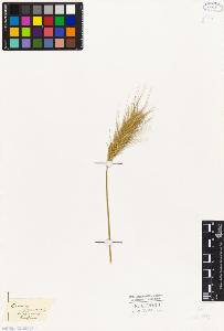 SW_BNB_s3010-04224_IMG-0000000001