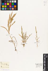 SW_BNB_s3010-04227_IMG-0000000001