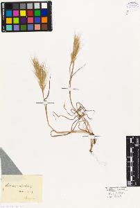 SW_BNB_s3010-04229_IMG-0000000001